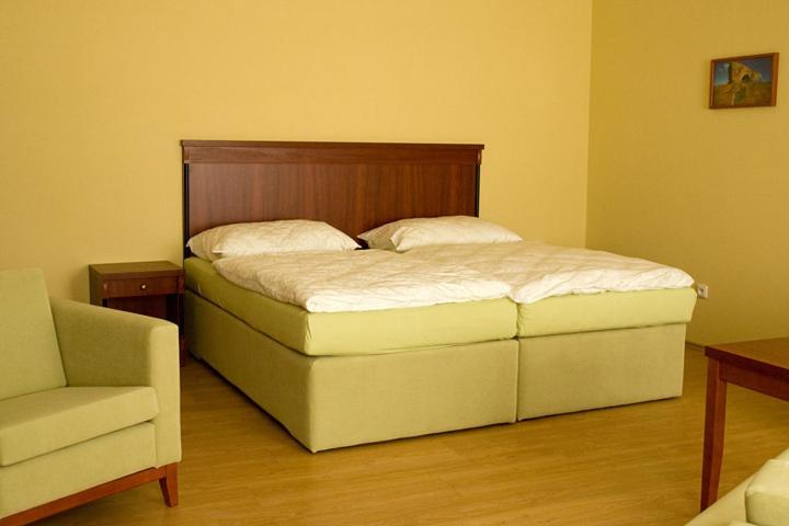 Penzion Zlatý vůl room 1